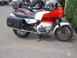 Hahn Auf_Anlassen_2024-P4280010